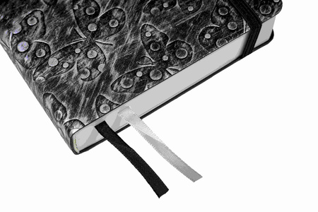 Kalendarz 2026 Jazz A5 dzienny motyl-srebrny