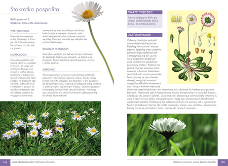 Atlas dzikich kwiatów