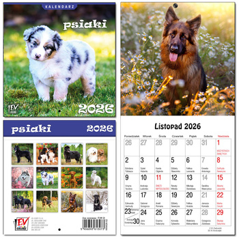 Kalendarz 2026 dla dzieci 13 planszowy Psiaki