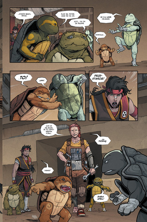 Ostatni Ronin. Nieznane lata. Wojownicze żółwie Ninja