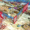 Puzzle 2000 CherryPazzi Coral Reef Paradise 50132