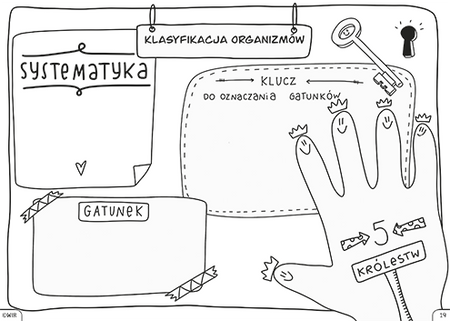 Biologia Graficzne karty pracy dla klasy 5