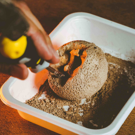 Lisciani Crazy Science Smoki i Dinozaury 304-PL89390