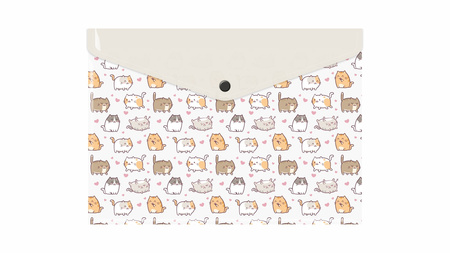 Teczka koperta A4 pp z nadrukiem kittens