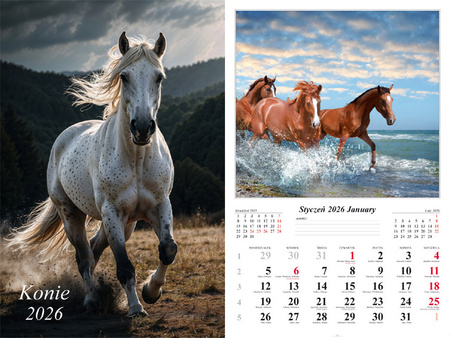 Kalendarz 2026 ścienny 13-k Konie