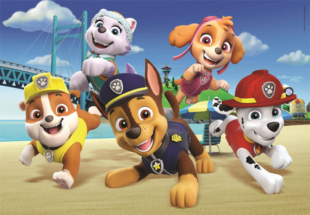 Puzzle 60 maxi super kolor Paw patrol 26591