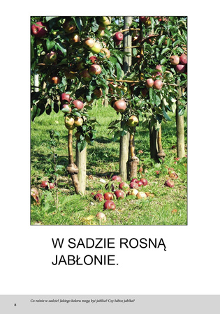 Wieś Bardzo proste czytanki