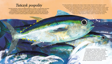 Ryby. Modele 3D. Młodzi przyrodnicy