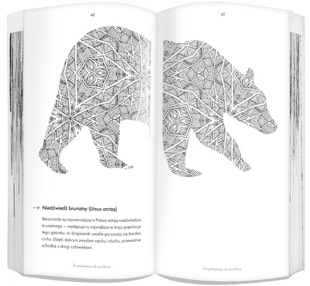 Moje szkice podróżne Bieszczady