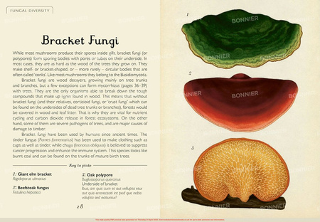 Fungarium (Mini Gift Edition)