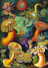 Puzzle 1000 Imagination  Ernst Haeckel Sea Anemones Stworzenia morskie