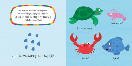 MORZE. Mój kolorowy quiz