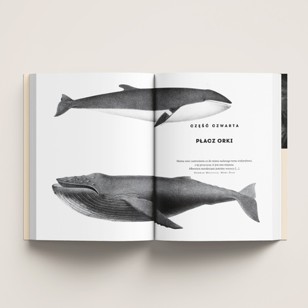 Co myślą i czują zwierzęta