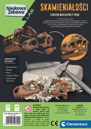 Skamieniałości czaszka T-REXA 50790