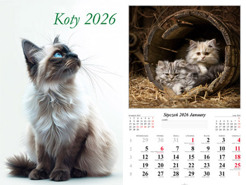 Kalendarz 2026 ścienny 13-k Koty
