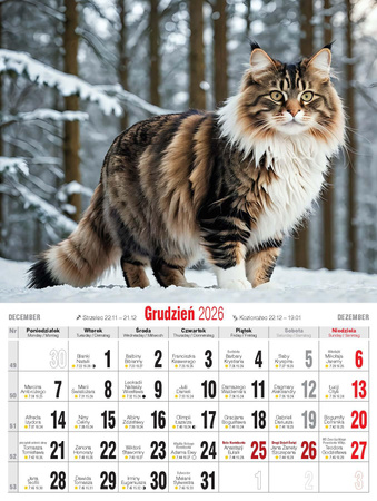 Kalendarz 2026 Koty KSM-4