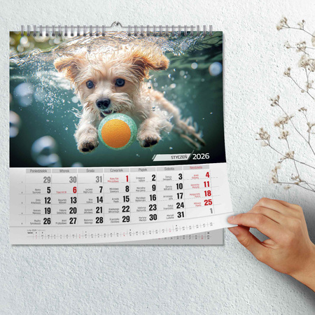 Kalendarz 2026  Psy pod Wodą kwadrat ścienny