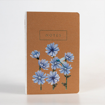 Notes Kwiaty Polskie Cykoria KPL 6