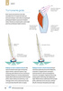 Trymowanie żagli. Podręcznik RYA. Książki dla żeglarz wyd. 5