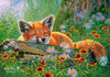 Puzzle 500 Foxy Dreams B-53872
