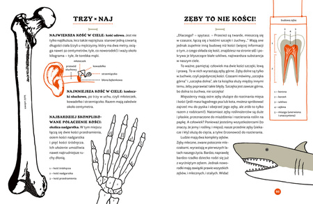Tajemnice szkieletów. O czym klekoczą kości?