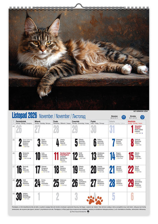 Kalendarz 2026 ścienny  Koci styl A3 V5