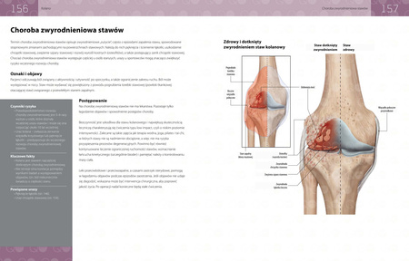 Anatomia urazów sportowych
