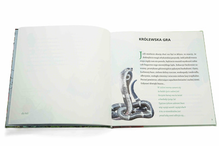 Tam gdzie mieszkają Bajki 2