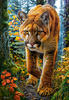 Puzzle 1500 Mountain Lion In The Forest C-152261-2