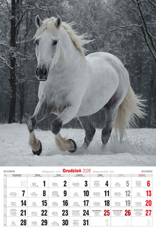 Kalendarz 2026 A3 Konie A3-2