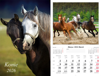 Kalendarz 2026 ścienny 7-k Konie