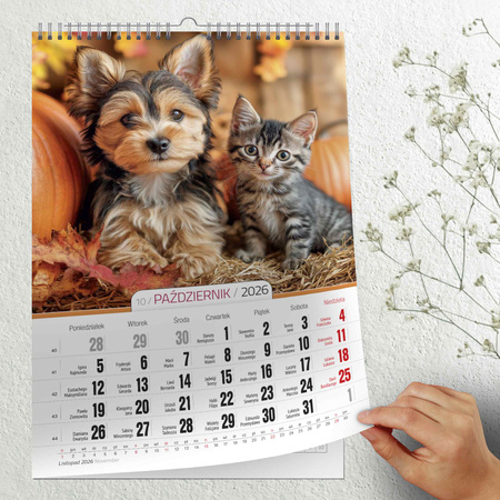 Kalendarz 2026 Kociaki i Szczeniaki A3 ścienny