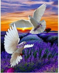 Diamentowa Mozaika Gołębie nad lawendowymi polami NO-1007012