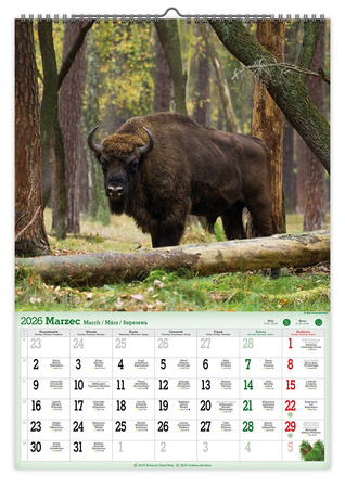 Kalendarz 2026 ścienny Leśne uroczyska A2 V5