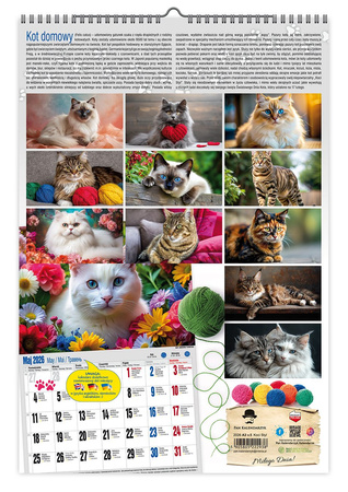 Kalendarz 2026 ścienny  Koci styl A3 V5