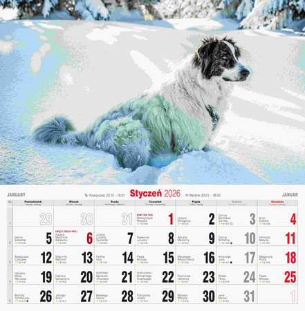 Kalendarz 2026 Psy KD-20
