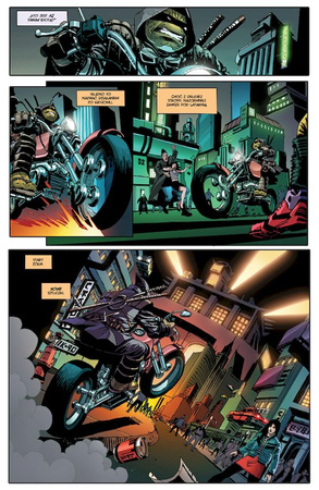 Ostatni Ronin. Wojownicze Żółwie Ninja