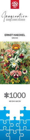 Puzzle 1000 Imagination Ernst Haeckel Orchidea