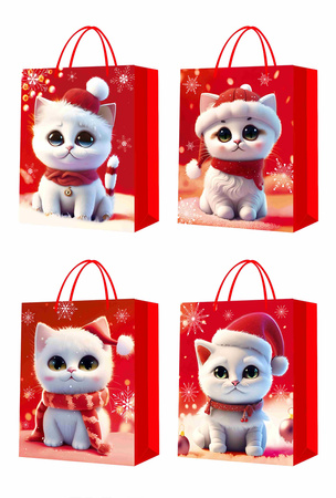 Torebki prezentowe BN 12 sztuk mix wzorów WK 22428 L