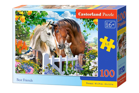 Puzzle 100 Najlepsi przyjaciele B-111121