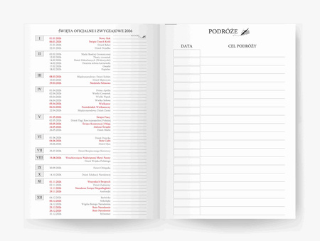 Kalendarz 2026 Techno A6 tygodniowy szary