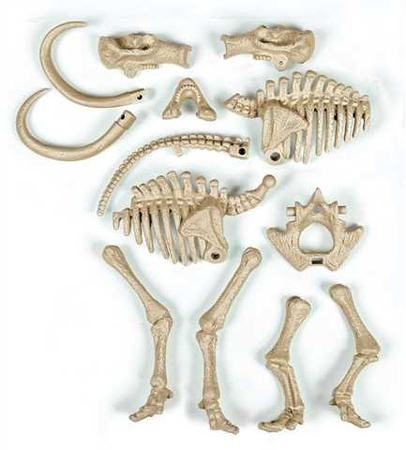 Skamieniałości mamut fluorescencyjny 60890