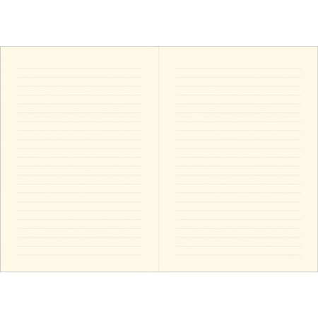 Notatnik Duży Sąd Hampton Peter Pauper Press