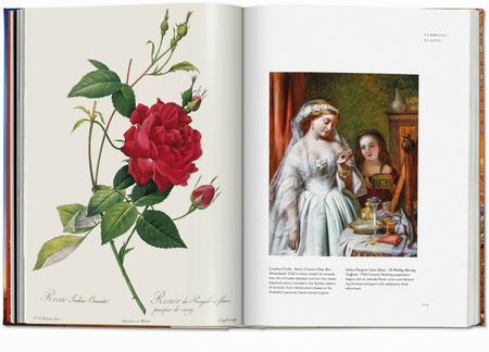 Plant Magick. The Library of Esoterica wer. angielska