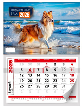 Kalendarz 2026 ścienny lux 1szt.mix