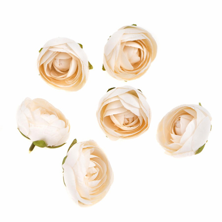 Główki kwiatowe piwonii ecru 6szt.