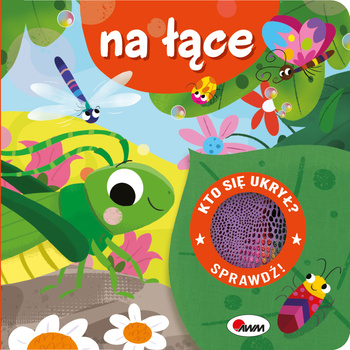 Na łące. Kto się ukrył