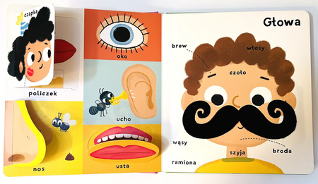 Książeczka dotykowa z okienkami. Moje pierwsze 100 słów. Ciało