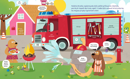 Pojazdy. Odkryj i znajdź