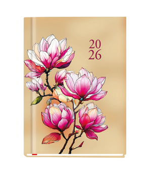 Terminarz 2026 Ola A6 tygodniowy 01